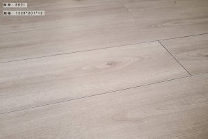 2022新花色 德宝 88系列 强化工程木地板
